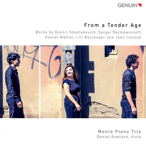 维多利亚奴仆的供奉
